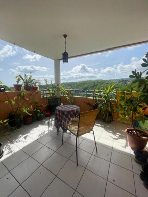 apartement 2 chambres une cuisine un salon une terrasse